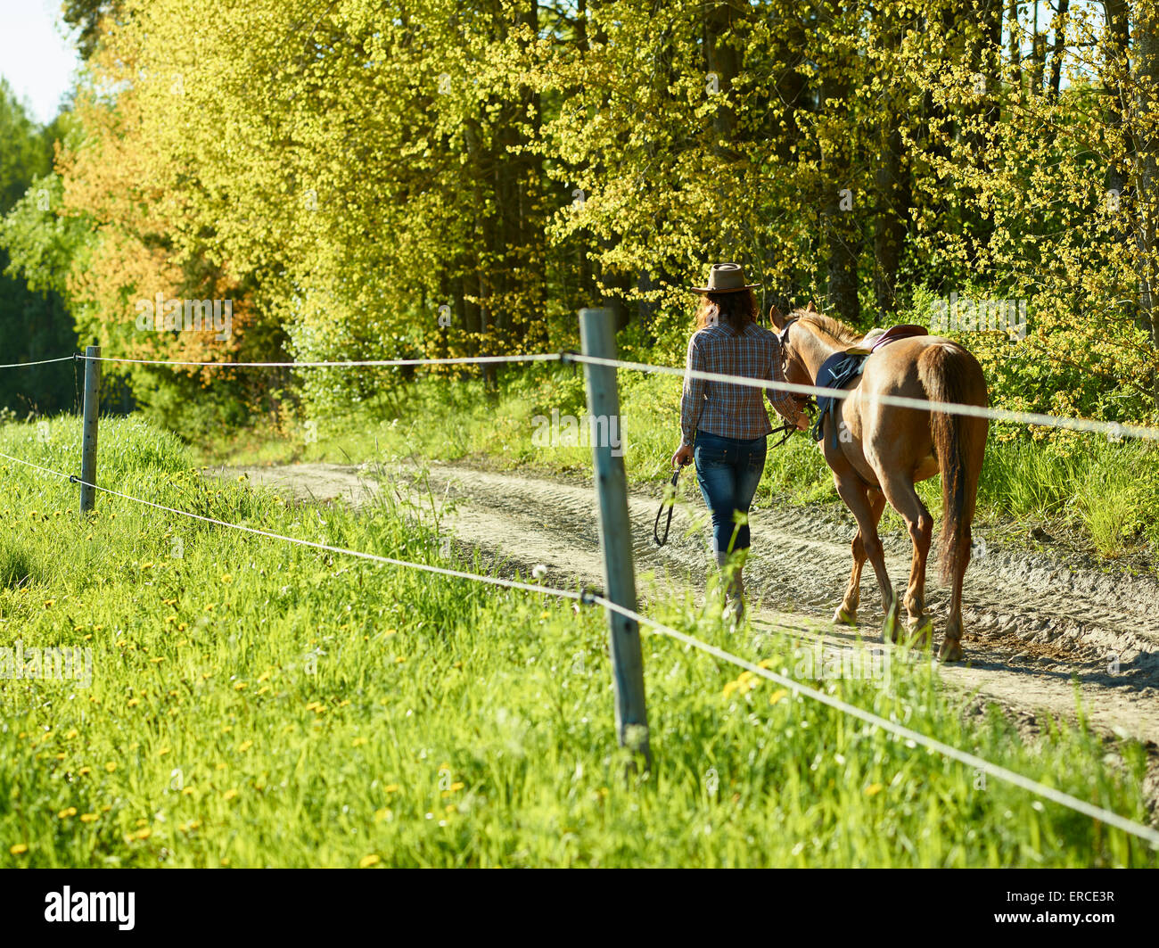 Cowgirl und Pony zusammen, sonnigen schönen Sommertag Stockfoto