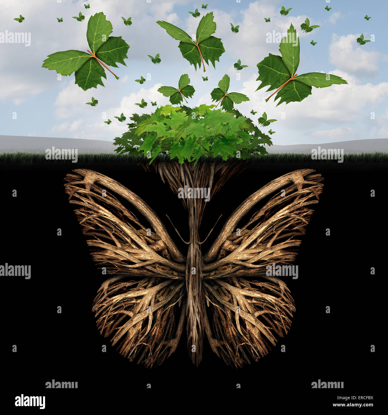 Starkes Fundament Konzept wie die Wurzeln einer Pflanze, geformt wie ein Schmetterling und die Blätter von einem Busch in der Form von fliegenden Schmetterlinge als eine kreative Basis-Symbol und die Kraft der Freiheit und Phantasie. Stockfoto