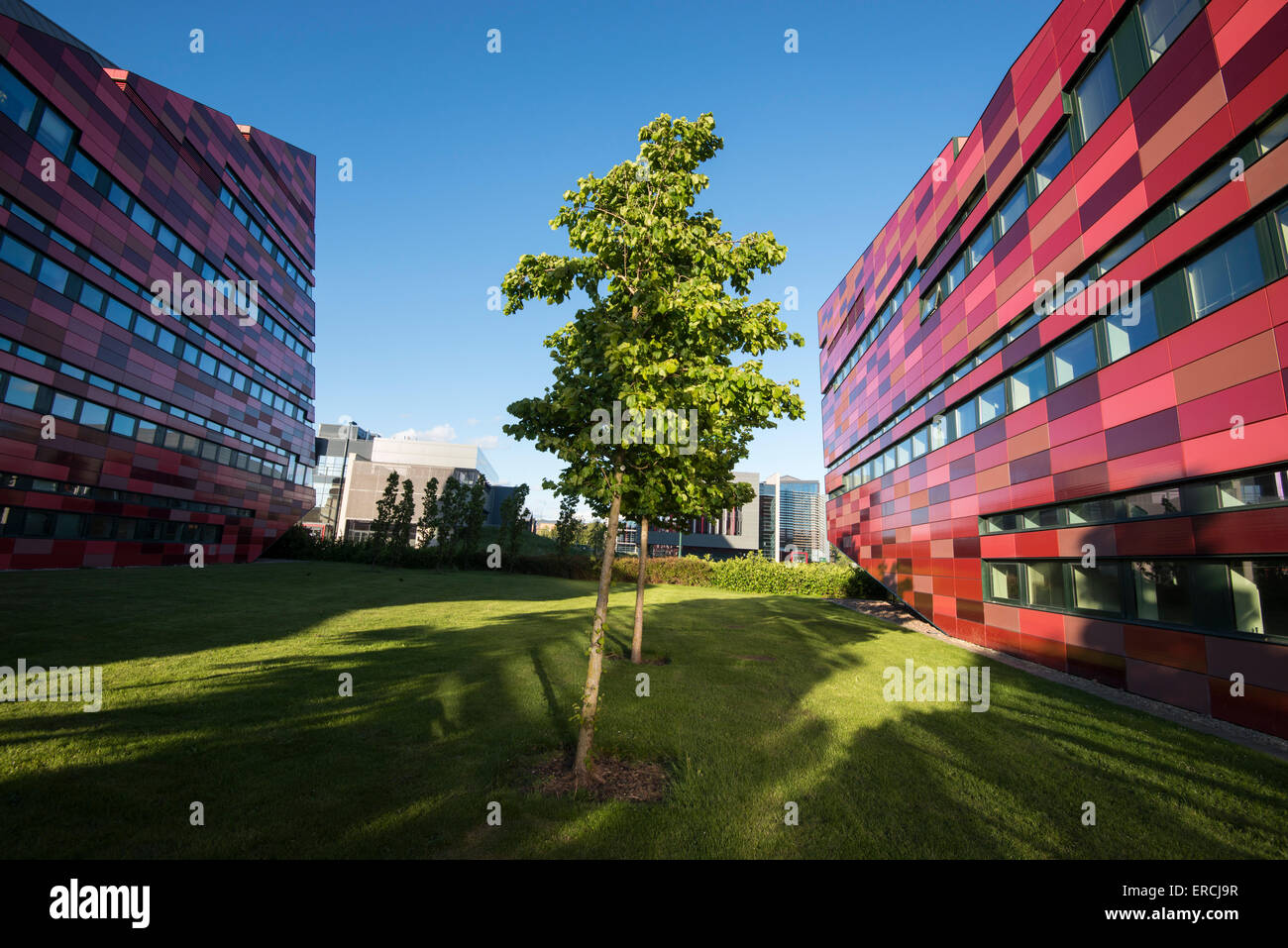 Fujia YANG und Annehmlichkeiten Gebäude auf dem Jubilee Campus, Universität Nottingham, Nottinghamshire England UK Stockfoto
