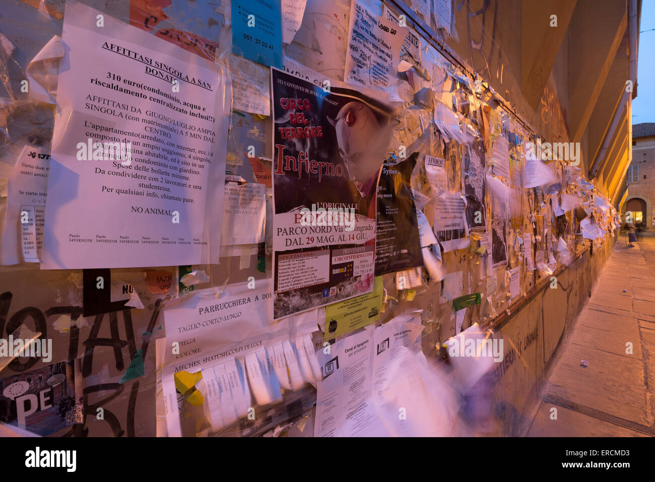 Broschüren, Flyer und Plakate an der Wand in der Nähe der Universität von Bologna, Italien. Stockfoto
