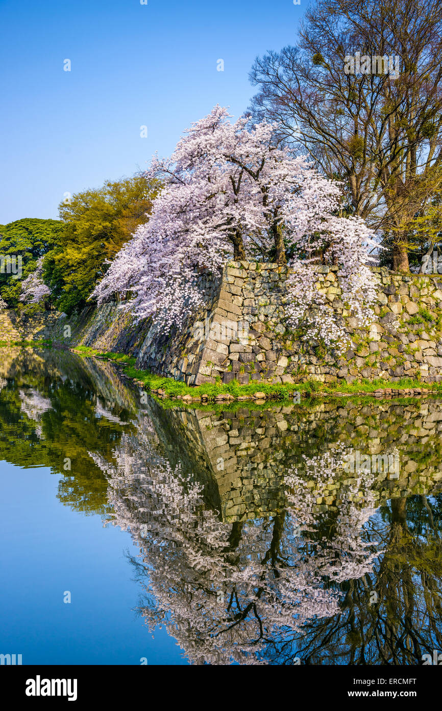Hikone äußeren Wassergraben Burgmauer in Hikone, Japan. Stockfoto
