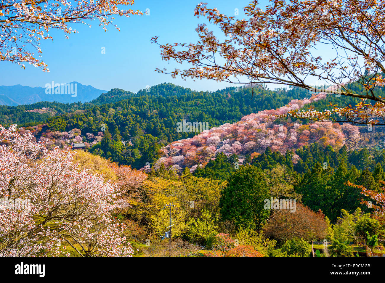 Yoshinoyama, Nara, Japan Frühlingslandschaft. Stockfoto