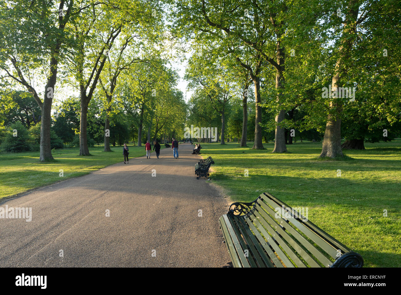 Kensington Gardens und Royal Parks in London. Stockfoto
