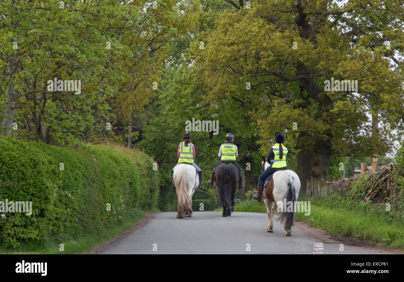 Weibliches Pferd Reiter auf einer Landstrasse mit Warnschutz Jacken, England, UK Stockfoto