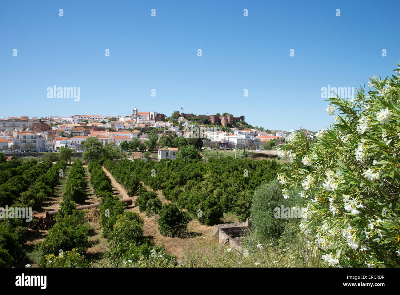 Burg von Silves auf einem Hügel mit Blick auf die Stadt und Zitrusfrüchte Anbaugebiet in der Algarve in Südportugal Stockfoto