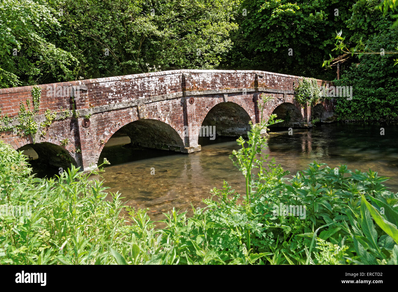 Steinbrücke über den Fluss Avon bei Salterton Stockfoto