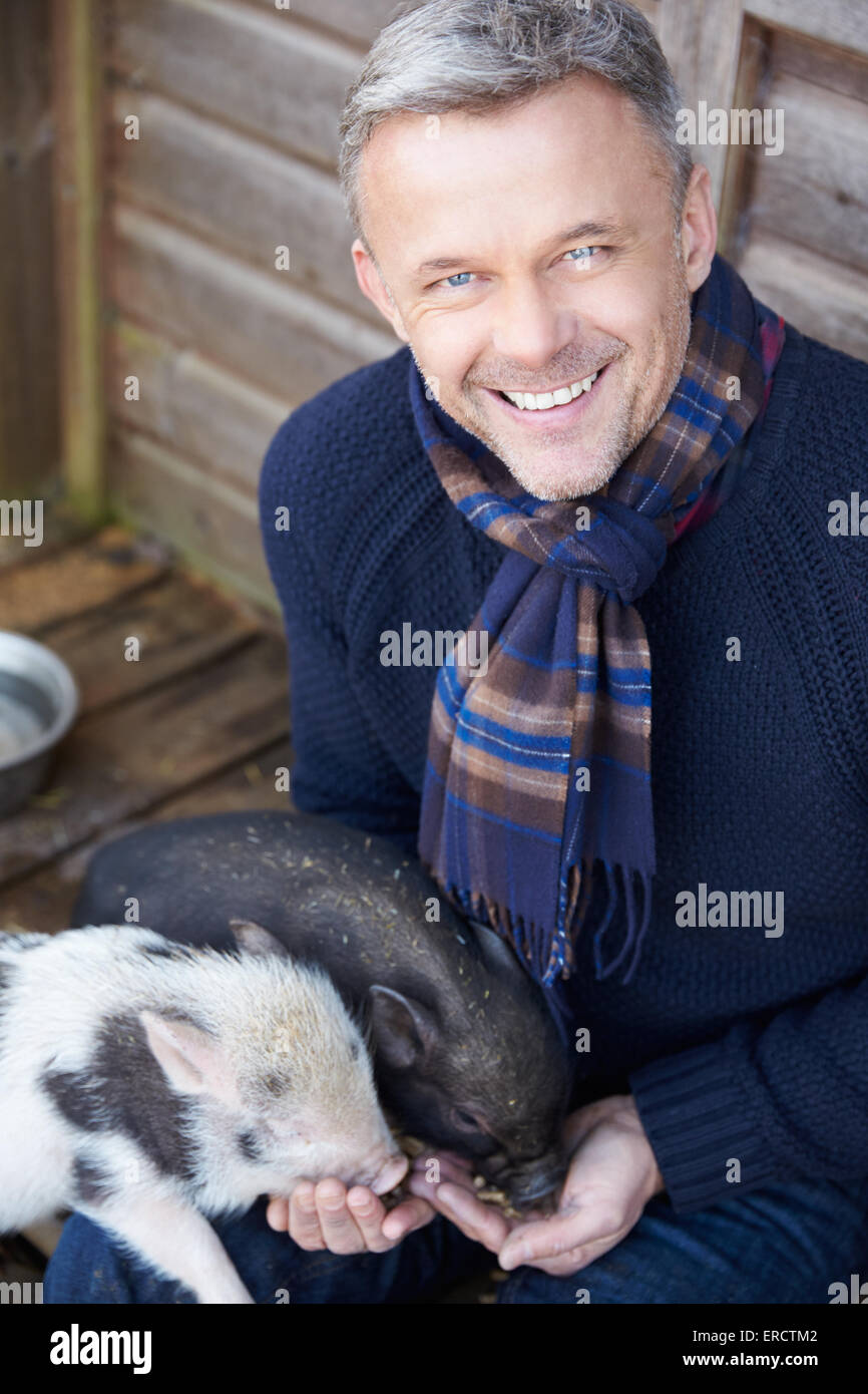 Reifen Sie Mann füttern Pet Micro Pig Stockfoto