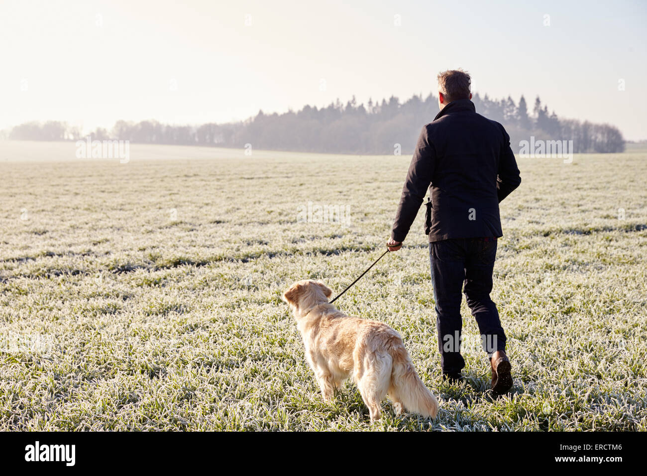 Reifer Mann zu Fuß Hund In frostigen Landschaft Stockfoto