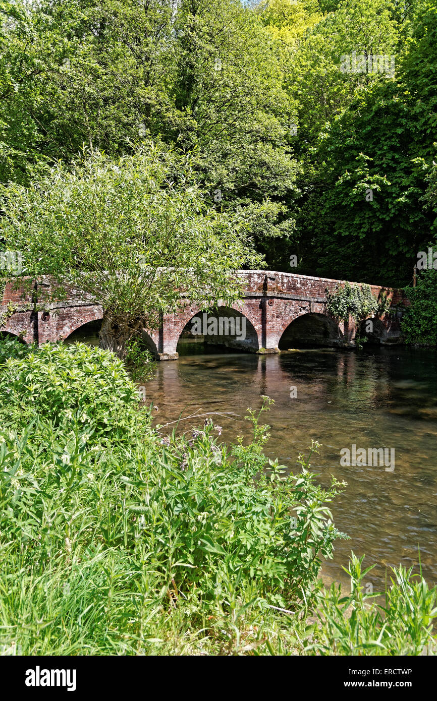 Steinbrücke über den Fluss Avon bei Salterton Stockfoto