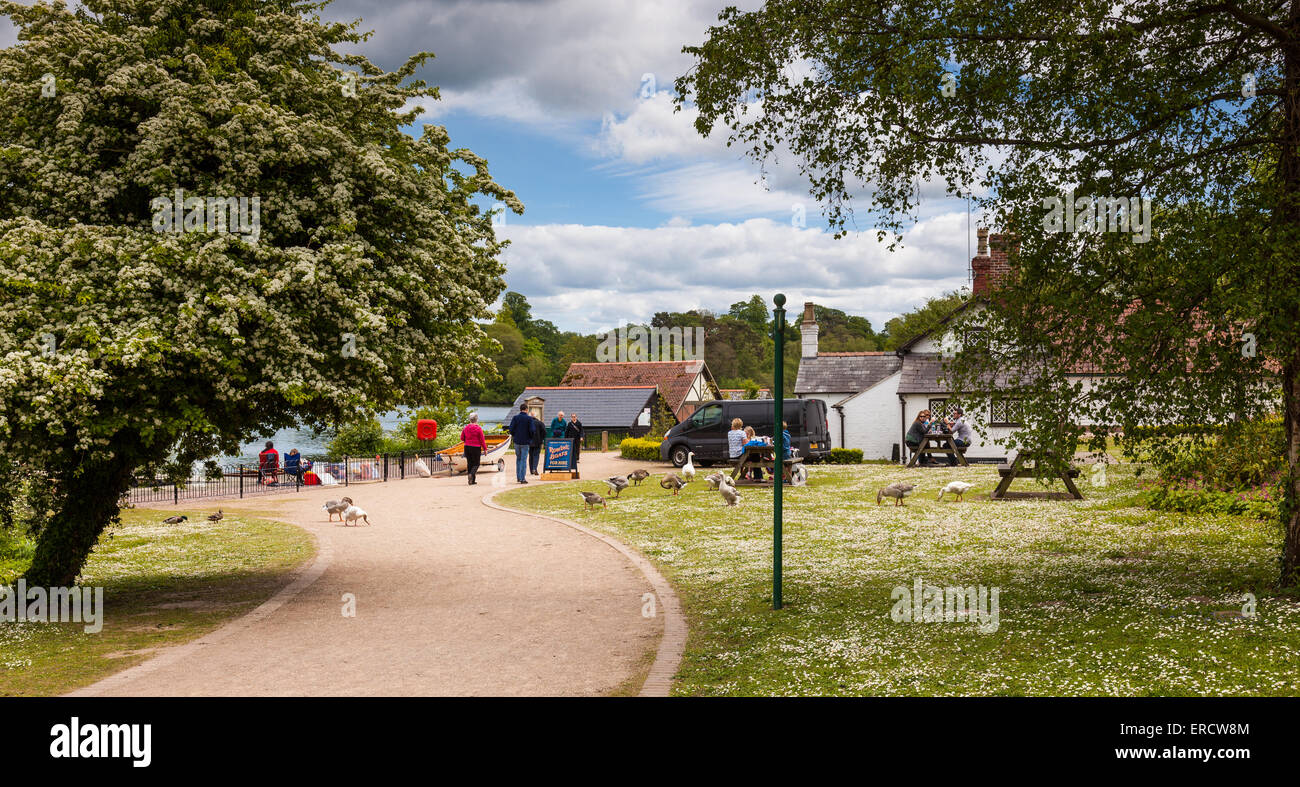 Die Promenade in Richtung The Boathouse Cafe neben der bloßen Ellesmere (bekannt als Shropshire Seenplatte), Shropshire, UK Stockfoto