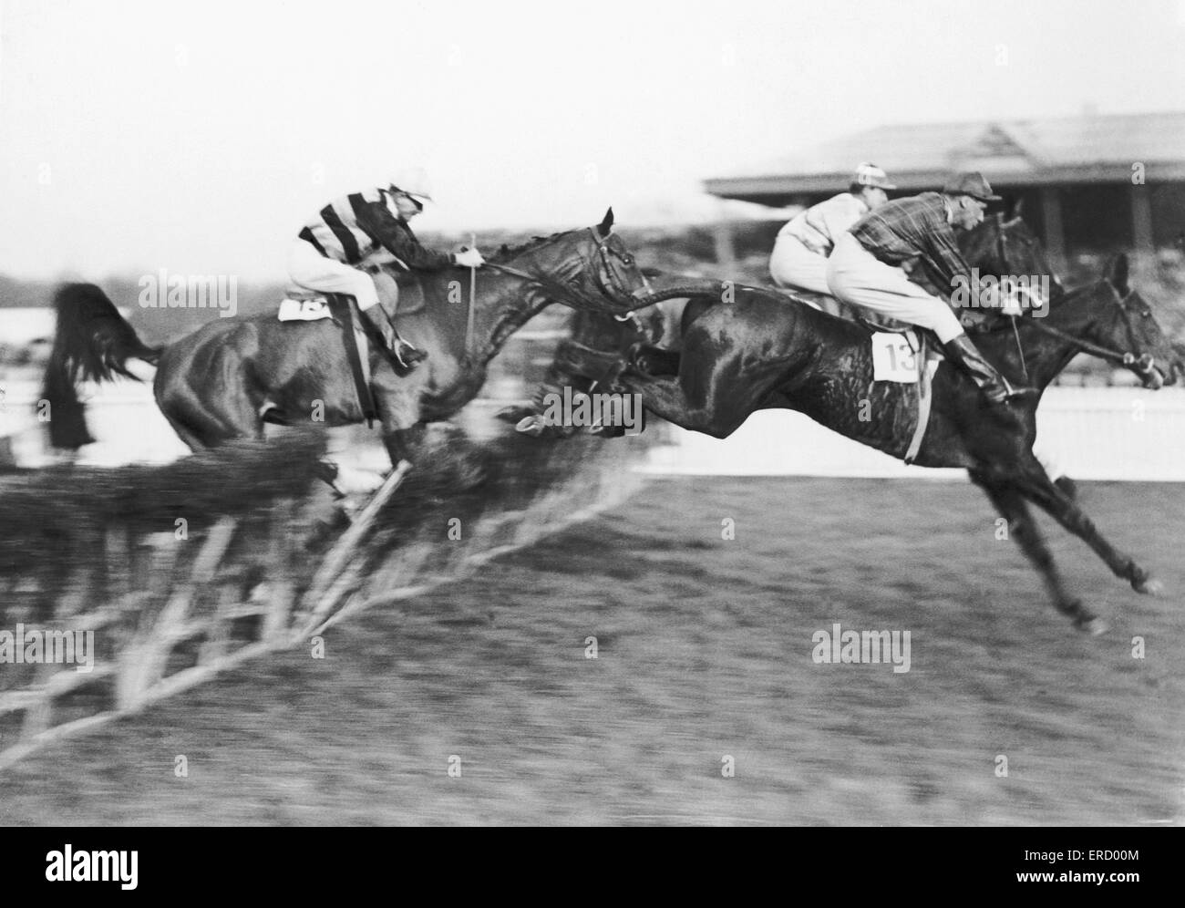 Pferderennen-Aktion in Horley Steeplechase Hürde am Flughafen Gatwick. 9. Januar 1925. Stockfoto