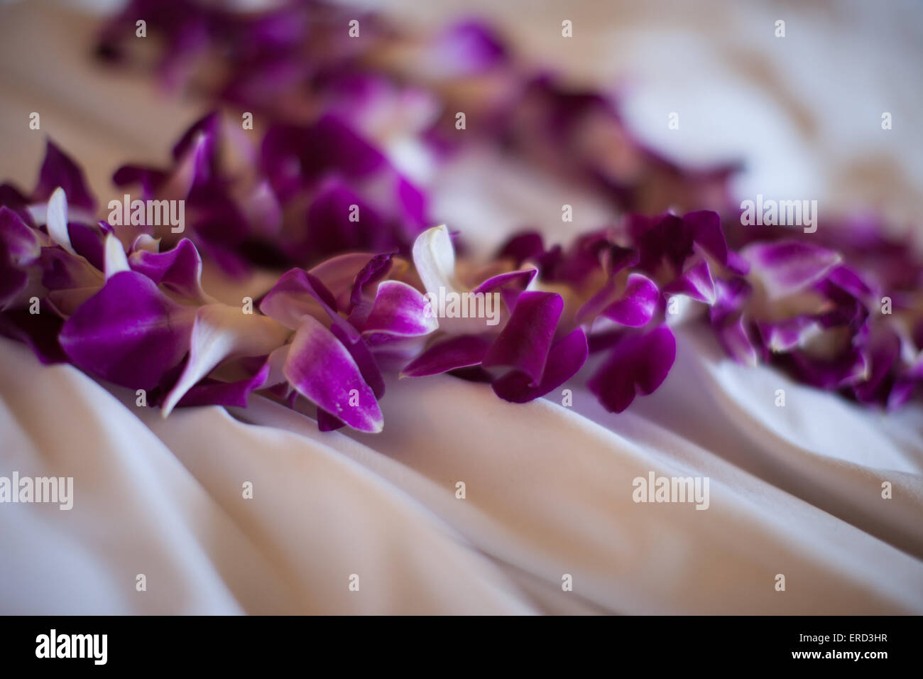 Hawaiian Lei Damen bei der Ankunft in Hotels in Maui vorgestellt. Stockfoto