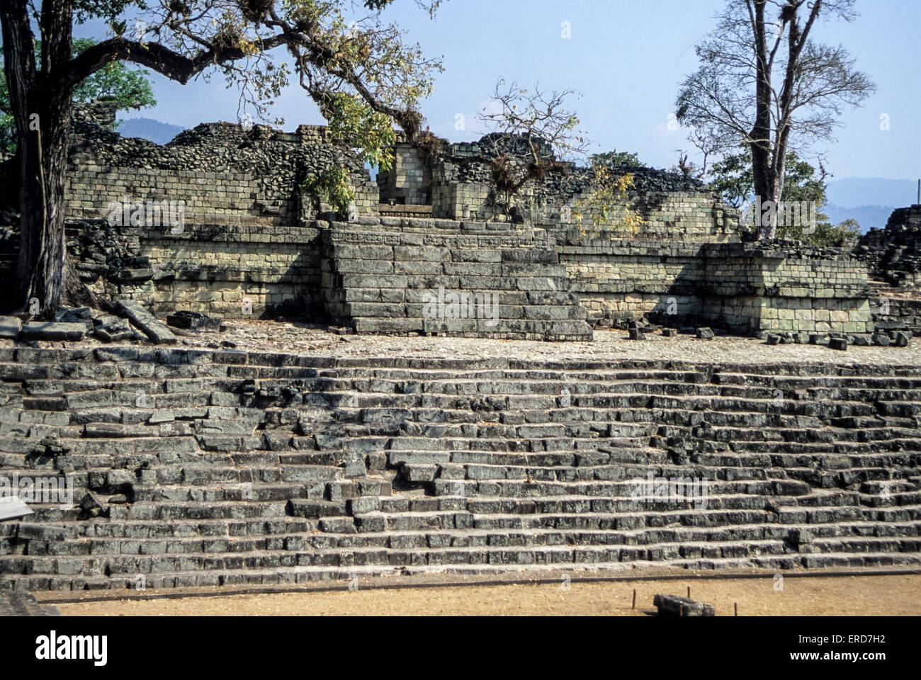 Honduras, Copan Ruinen.  Tempel 22 bei Jaguar. Stockfoto