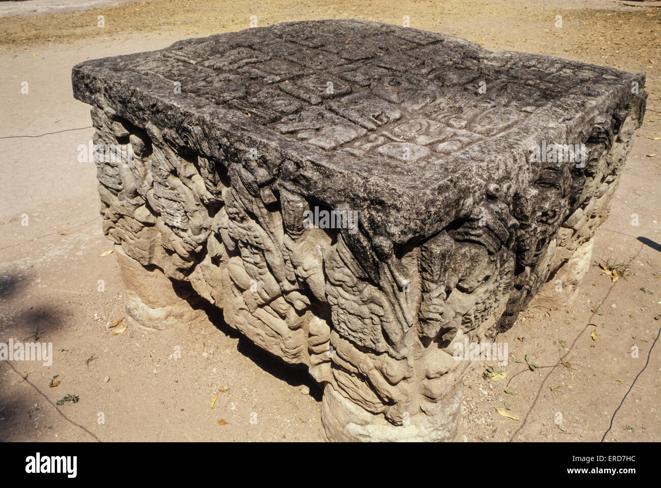 Honduras, Copan Ruinen.  Altar Q (Nachbau) vertreten dynastische Nachfolge der Macht von einem König zum nächsten. Stockfoto