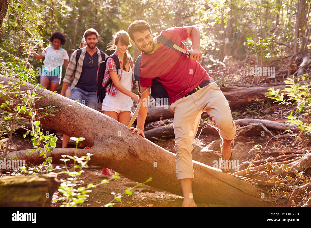 Gruppe von Freunden auf Landschaft Spaziergang über Baumstamm springen Stockfoto