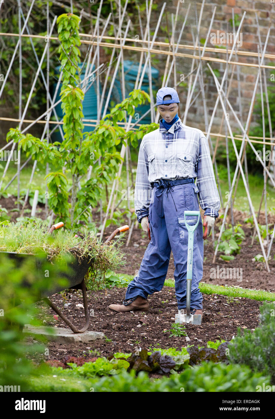 Stilvoll gekleidet Vogelscheuche in einem englischen Küche Garten mit Baseball-Cap und Spaten Stockfoto
