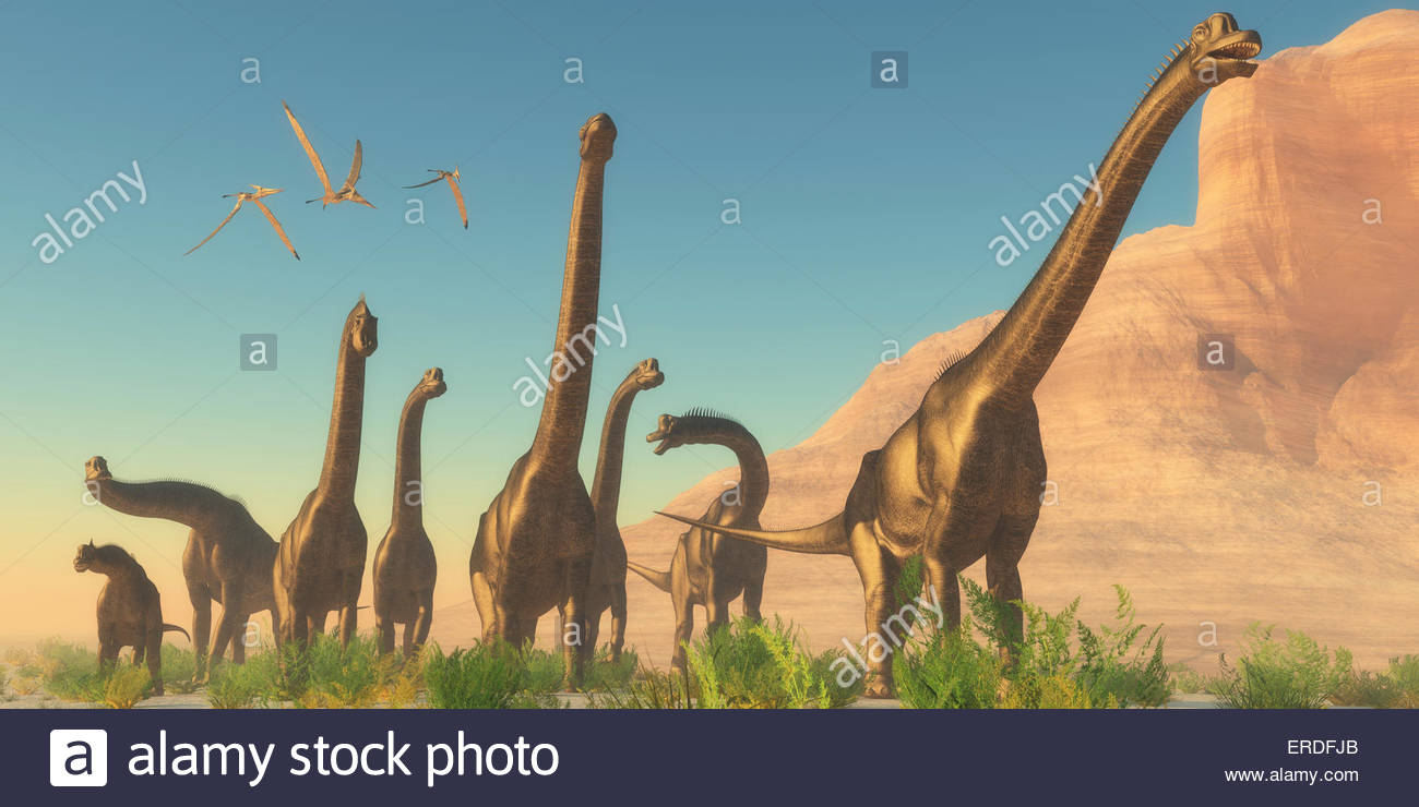 Pteranodon Pterosaur Pterodactyl Artwork Pteranodon Stockfotos