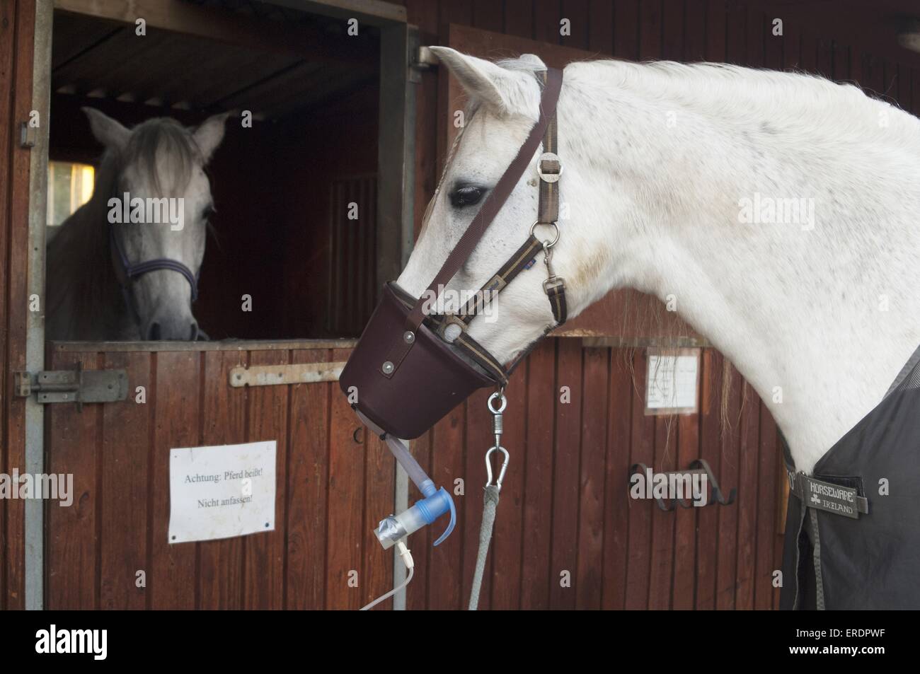 Die Inhalationstherapie Stockfoto