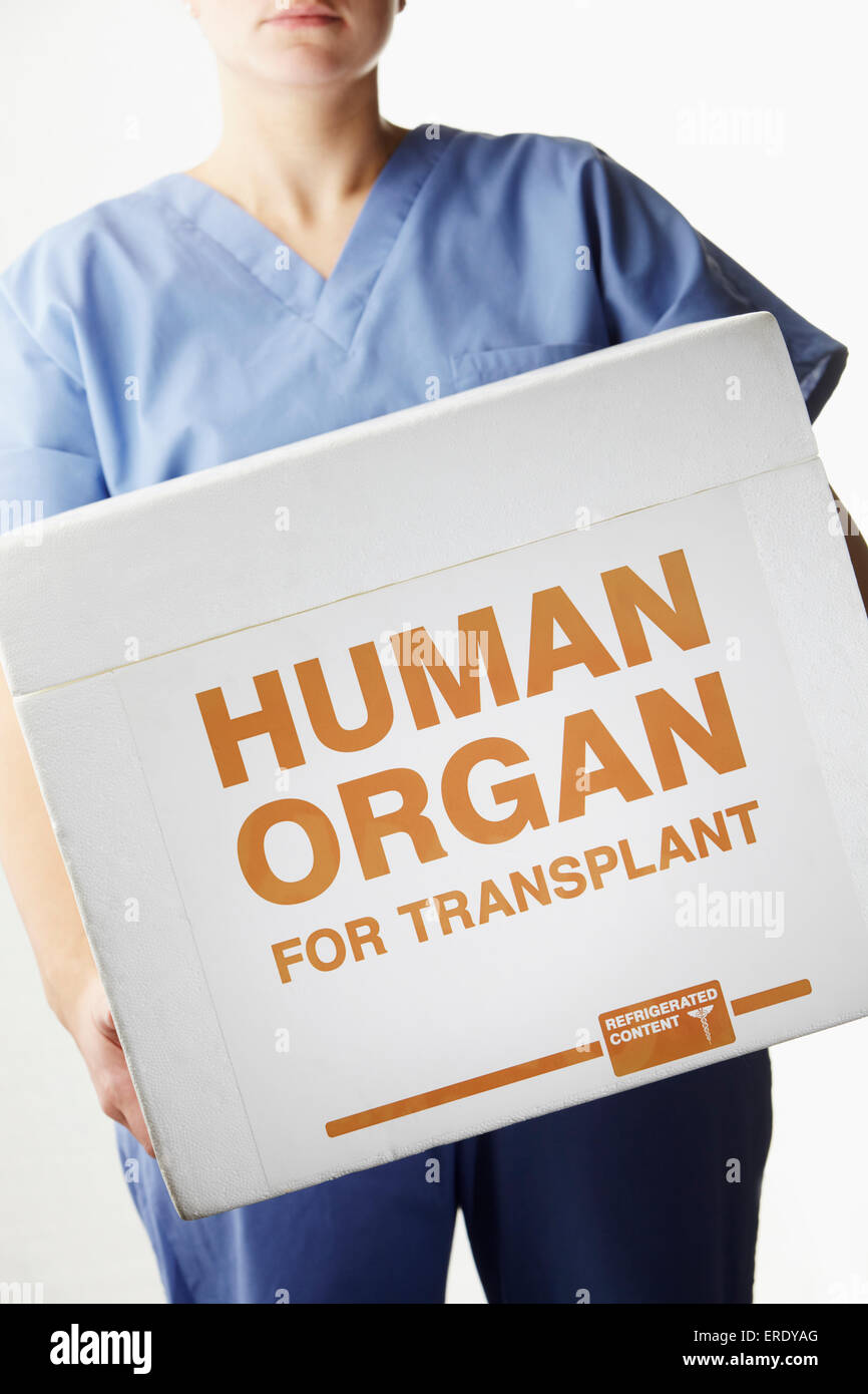 Weibliche Chirurg tragen Transplantation Organ box Stockfoto