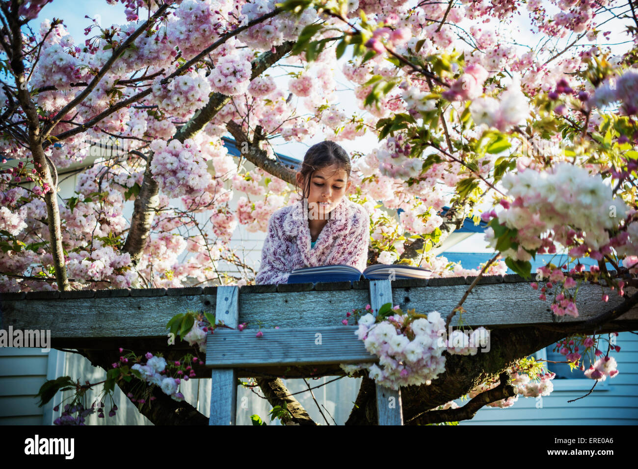 Gemischte Rassen Mädchen Lesebuch im Baumhaus Stockfoto