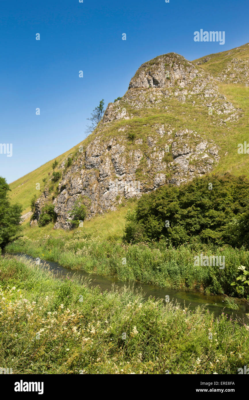 Großbritannien, England, Staffordshire, Dovedale, Fluss Dove fließt unter Felsvorsprung auf Baley Hügel Stockfoto