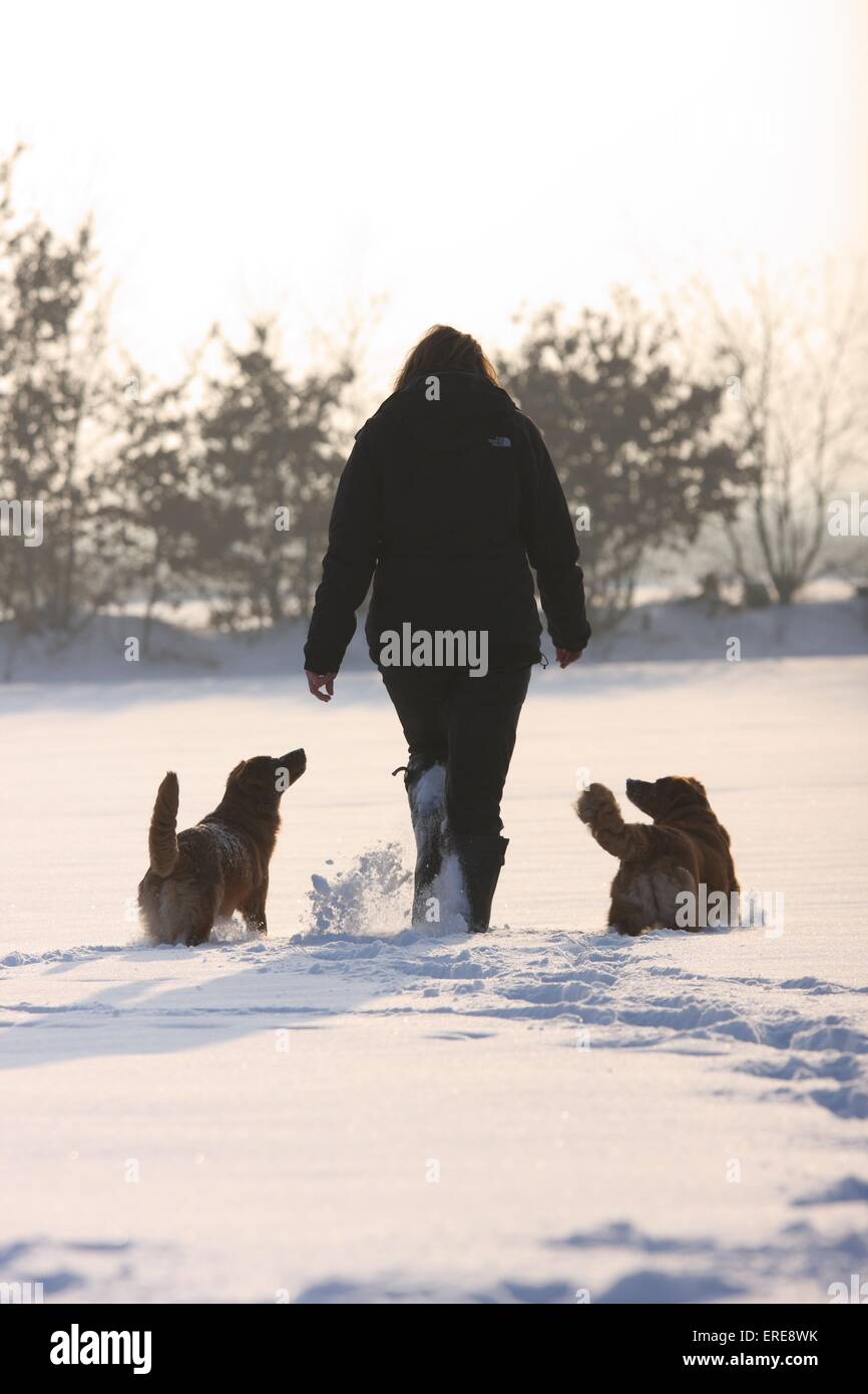 Wandern mit Nova Scotia Duck Tolling Retriever Stockfoto