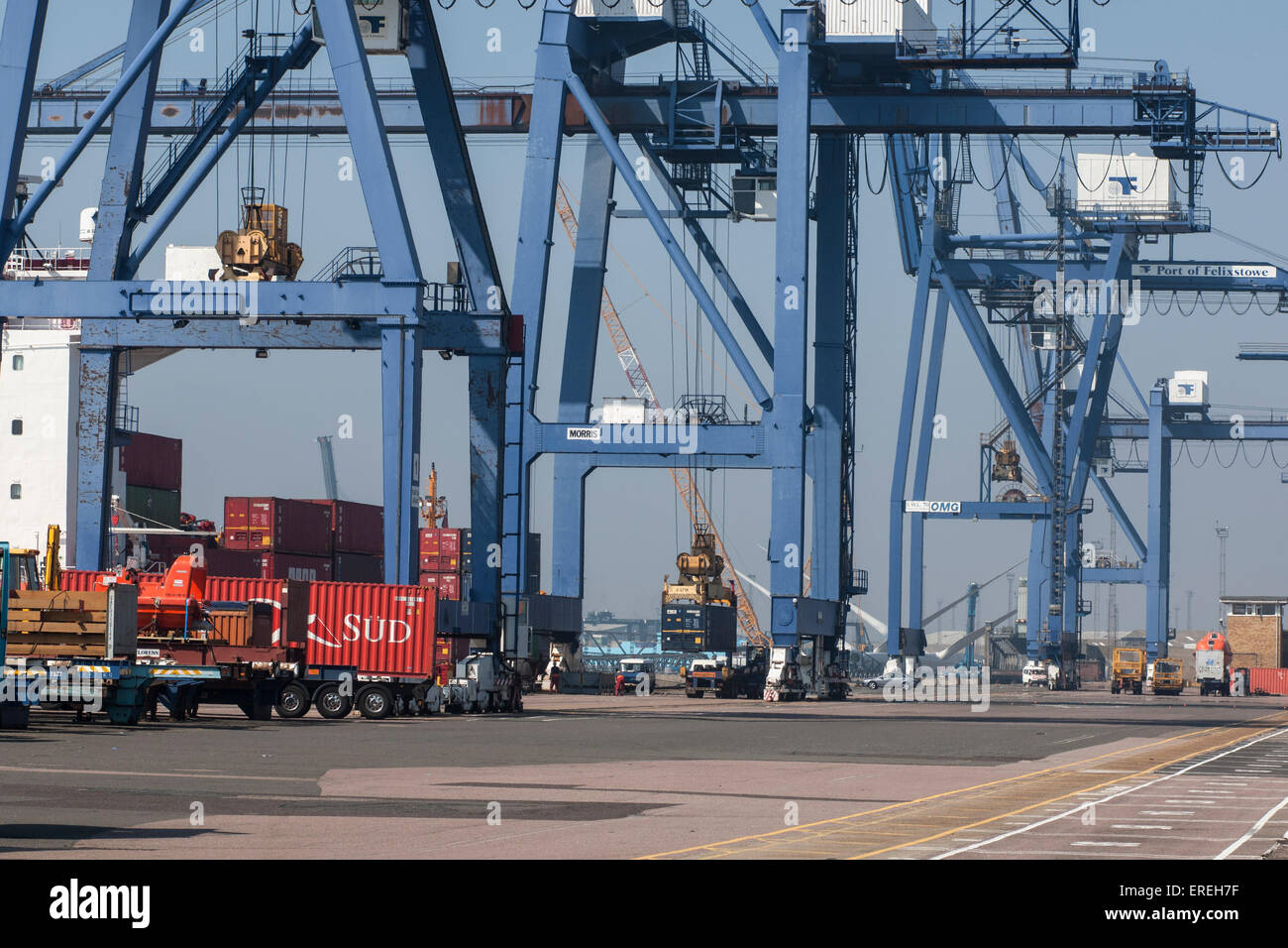 Container Handling Ausrüstung, Hafen von Felixstowe, Großbritannien. Stockfoto