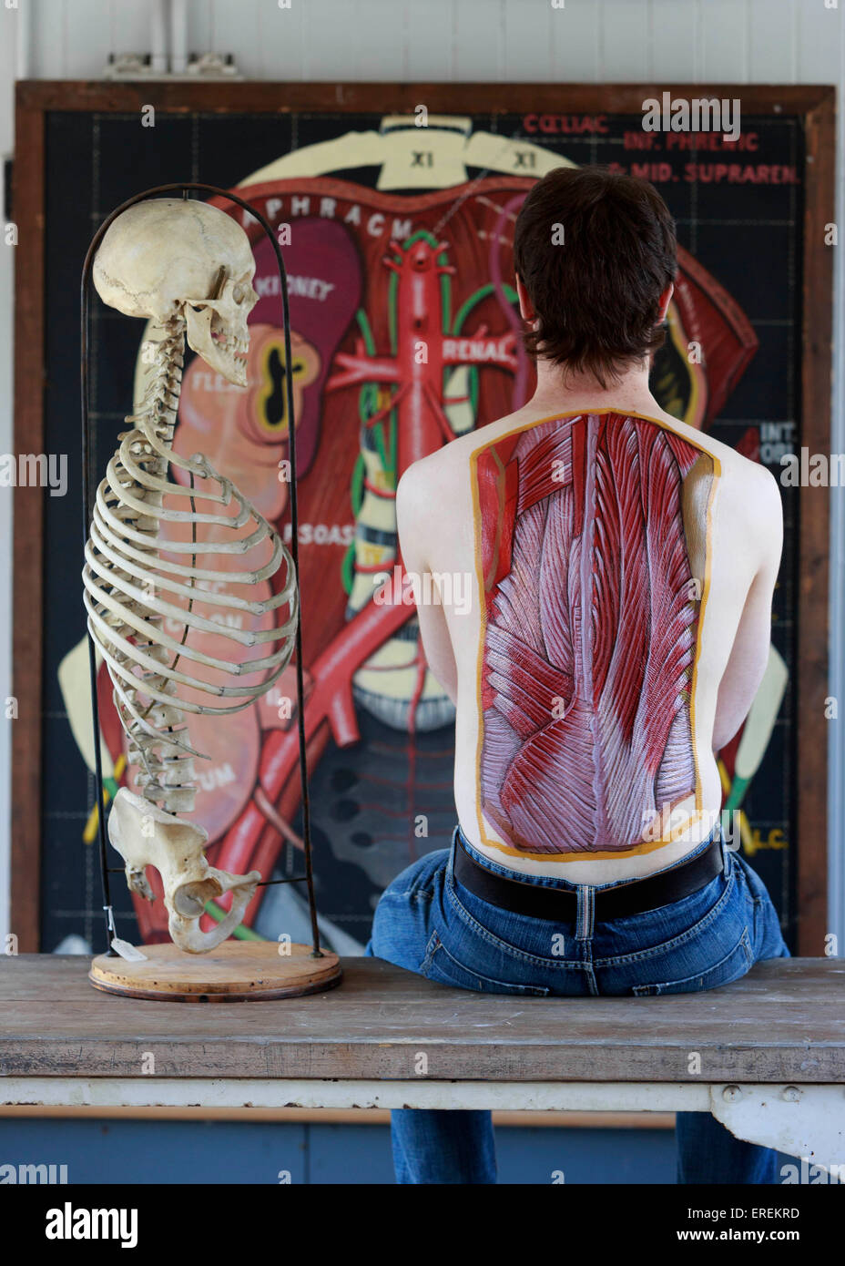 Edinburgh, Schottland. 2. Juni 2015. Ärzte und Künstler treten auf Host-Kunst und Anatomie, die Wunder des menschlichen Körpers zu illustrieren. Model Posen Künstler Danny Quirk Credit: Pako Mera/Alamy Live News Stockfoto
