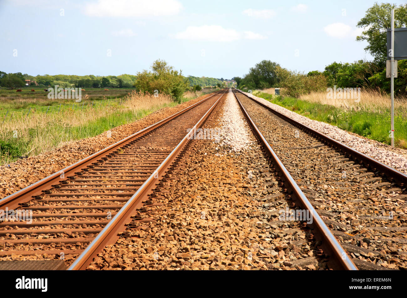 Ein Blick auf die doppelte Bahn verfolgen auf Wherry Linien zwischen Cantley und Reedham, Norfolk, England, Vereinigtes Königreich. Stockfoto