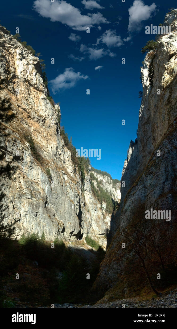 Genähte Panorama von Trigrad-Schlucht, steilen Kalksteinklippen, Rhodopi Gebirge, Bulgarien Stockfoto