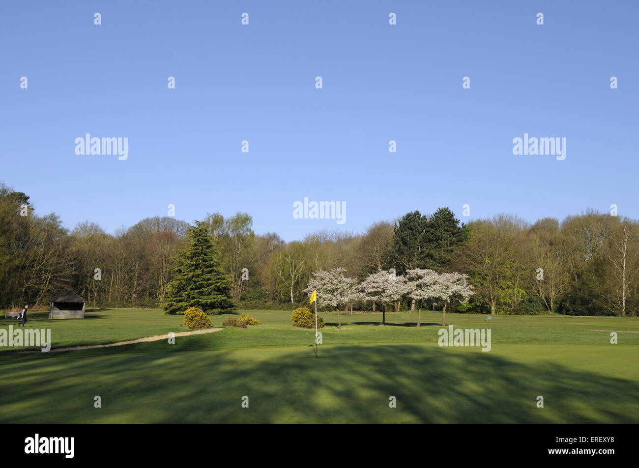 Blick über Flagge am 18. Grün mit Schatten in Richtung 1. Abschlag, Thorndon Park Golf Club Brentwood Essex England Stockfoto