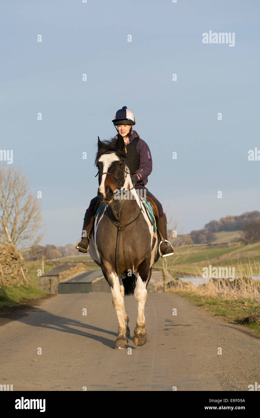 Mädchen, die ein Pony für einen Hack fahren entlang Landstraßen rund um Hawes, North Yorkshire, UK. Stockfoto