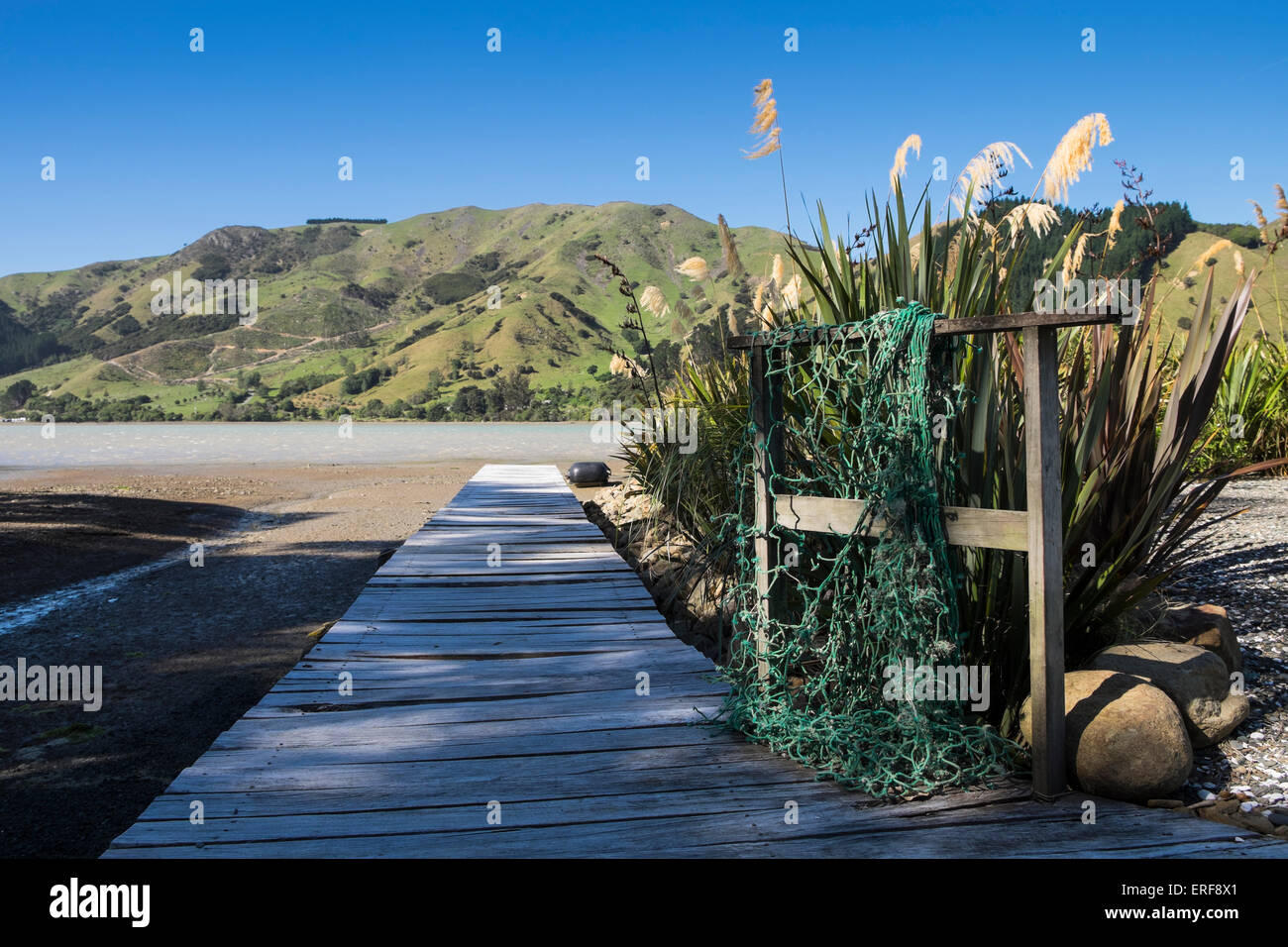 Alten Net und Austroderia Anlage an einem privaten Steg führt zum Meer bei Cable Bay, New Zealand. Stockfoto