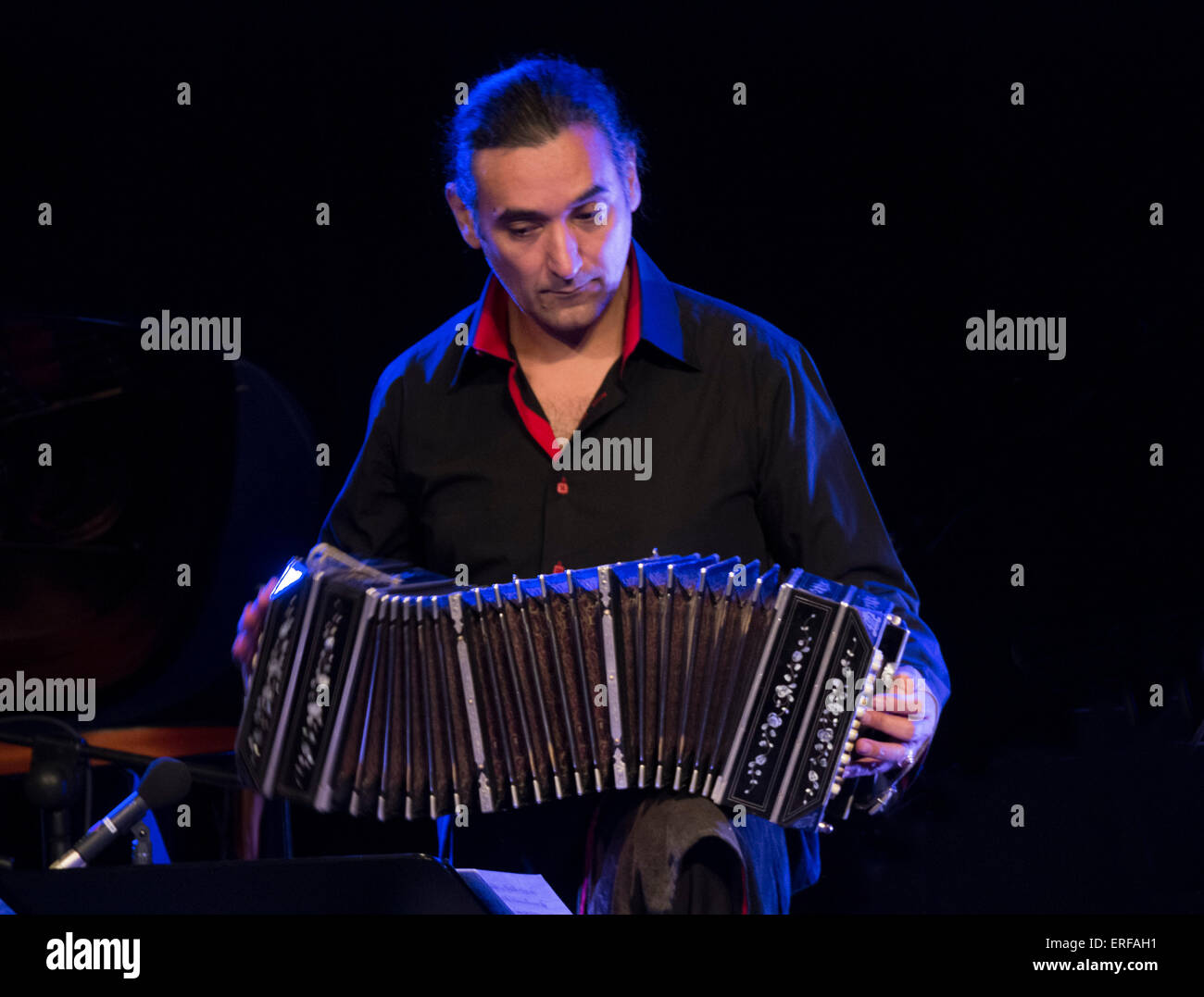 Concertina player Fotos und Bildmaterial in hoher Auflösung Alamy