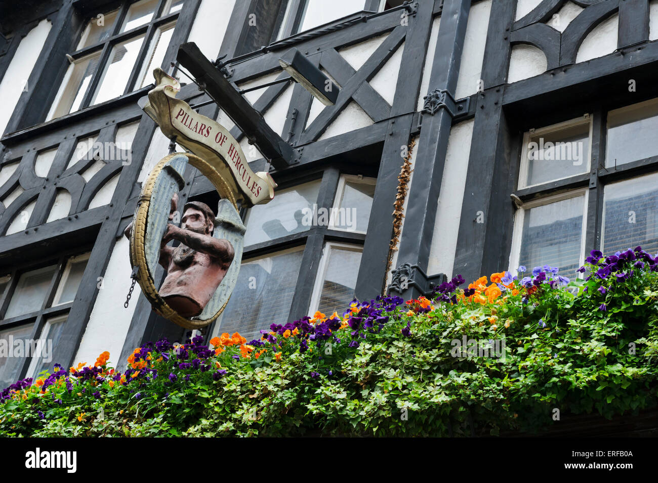 Ein Banner außerhalb der Säulen des Herkules Pub, London, England, Vereinigtes Königreich. Stockfoto