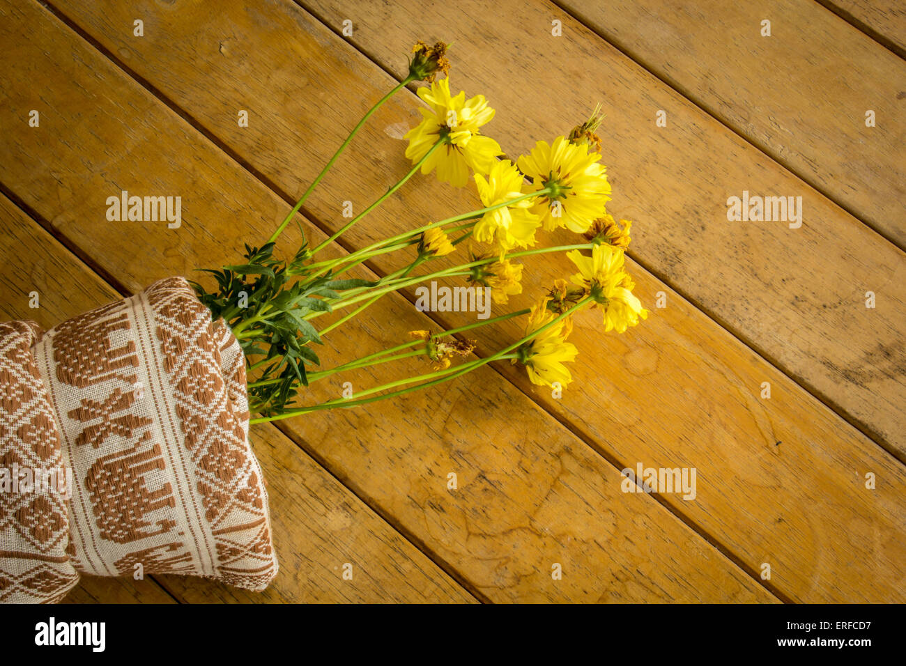 Gelbe Blumen, Baumwolle, Desktop, Wrap, Baumwolle, gelb. Stockfoto