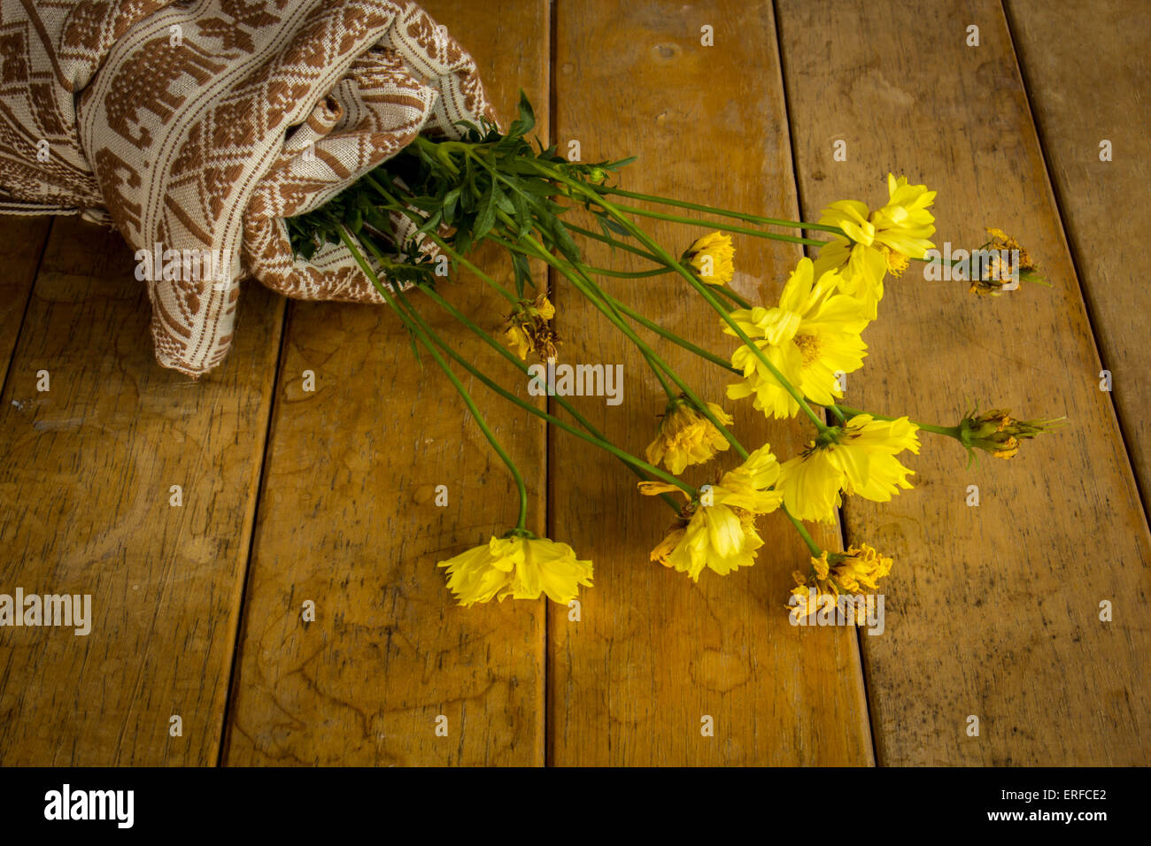 Gelbe Blumen, Baumwolle, Desktop, Wrap, Baumwolle, gelb. Stockfoto