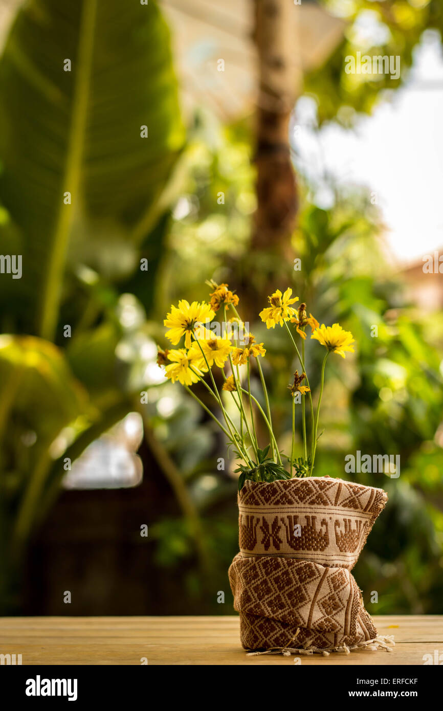 Gelbe Blumen, Baumwolle, Desktop, Wrap, Baumwolle, gelb. Stockfoto