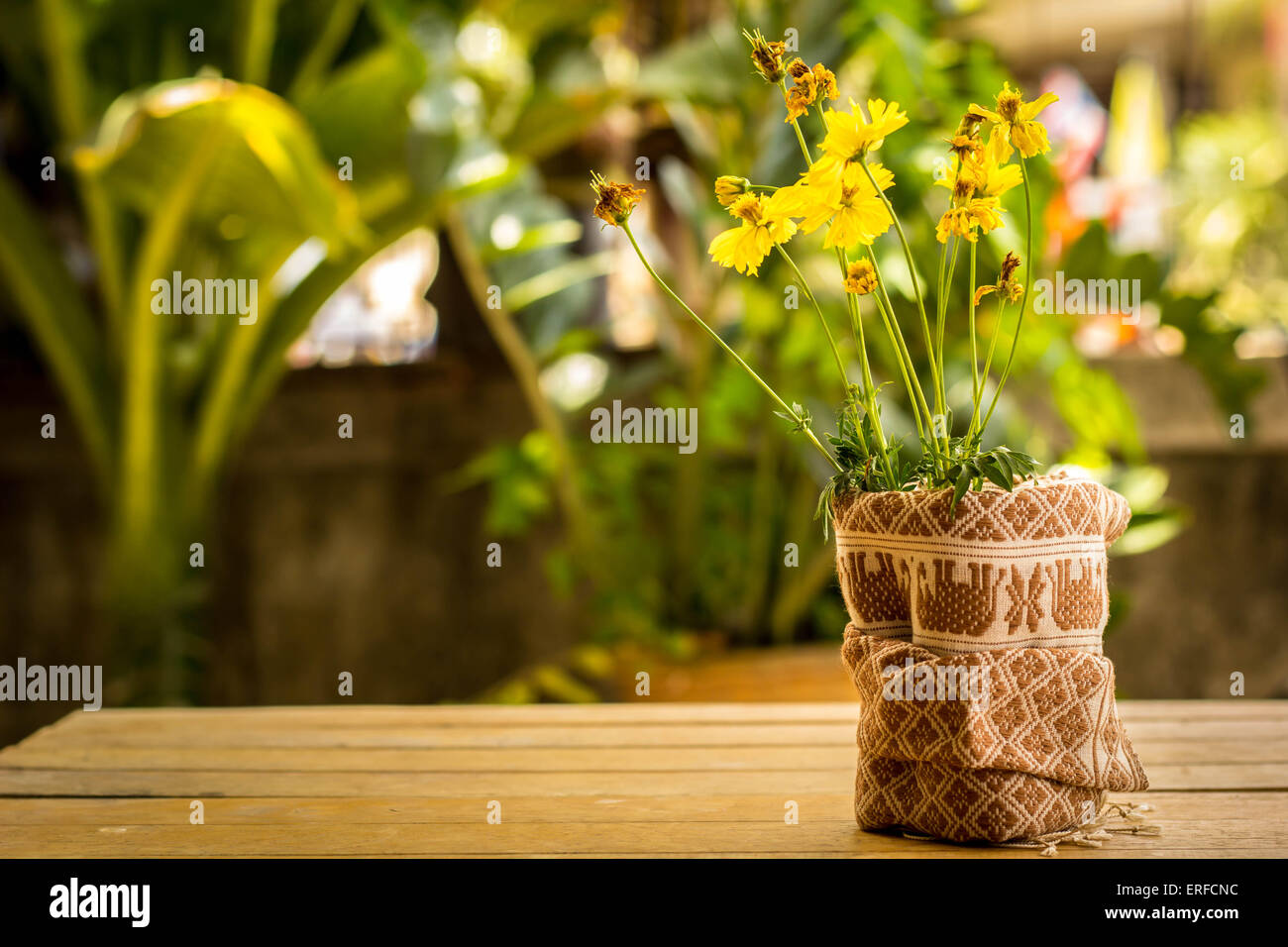 Gelbe Blumen, Baumwolle, Desktop, Wrap, Baumwolle, gelb. Stockfoto
