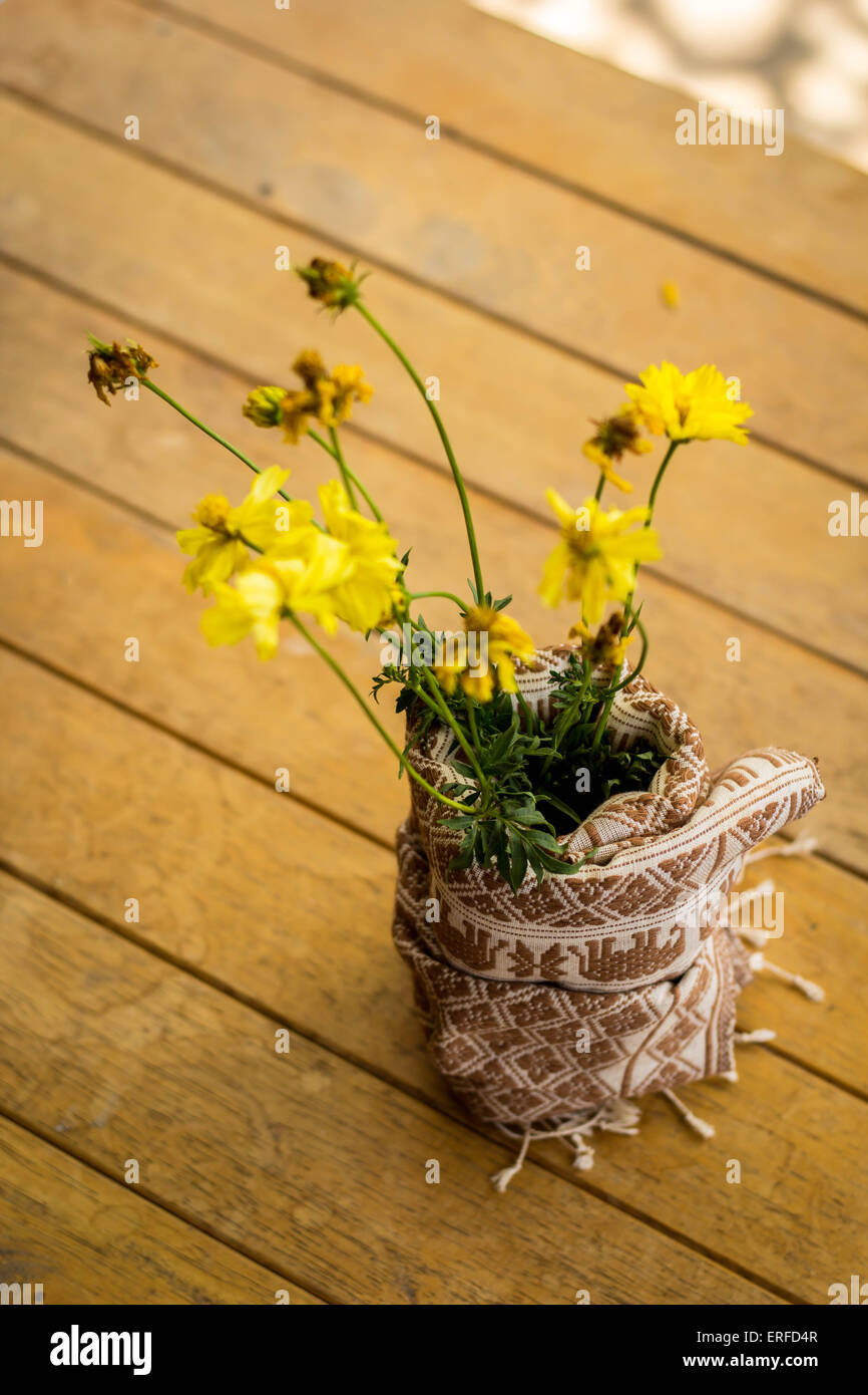 Gelbe Blumen, Baumwolle, Desktop, Wrap, Baumwolle, gelb. Stockfoto