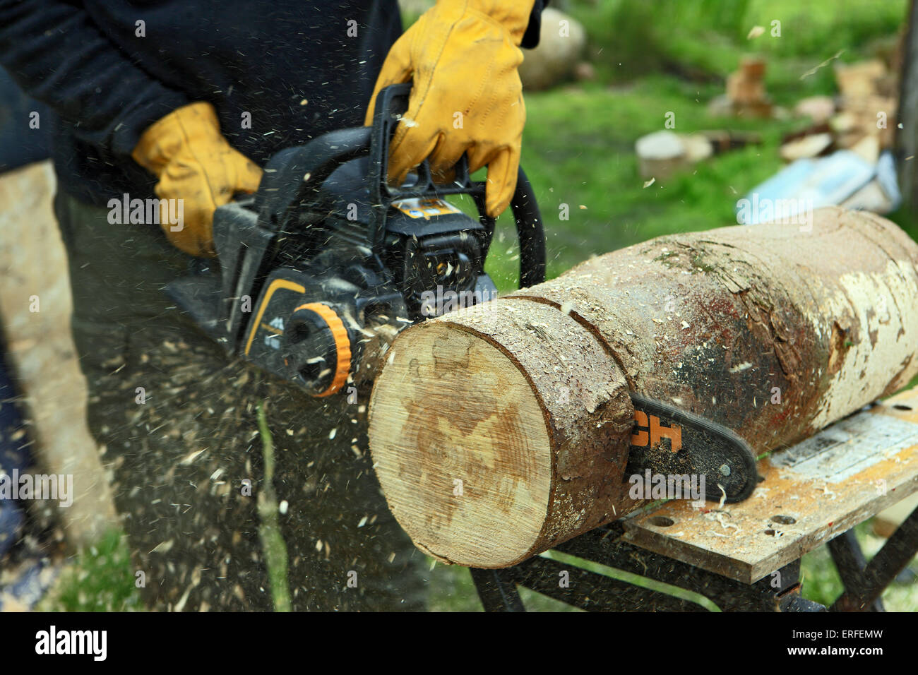 Mann mit einer Kettensäge zu einen Baumstamm geschnitten Stockfoto
