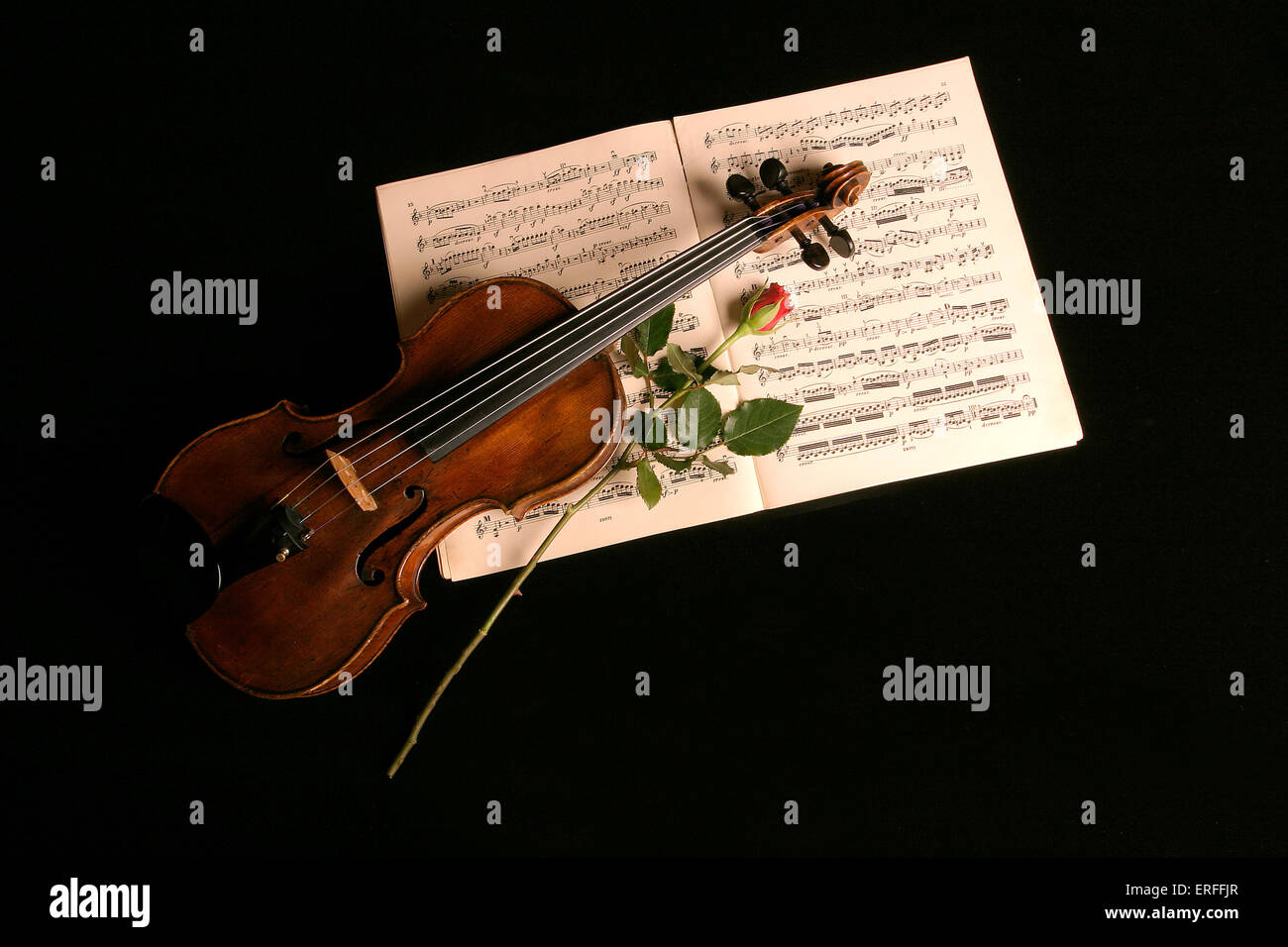 Violine mit Partitur und rose Stockfoto