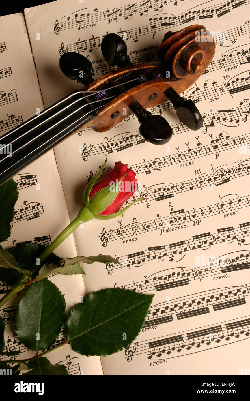 Violine mit Partitur und rose Stockfoto