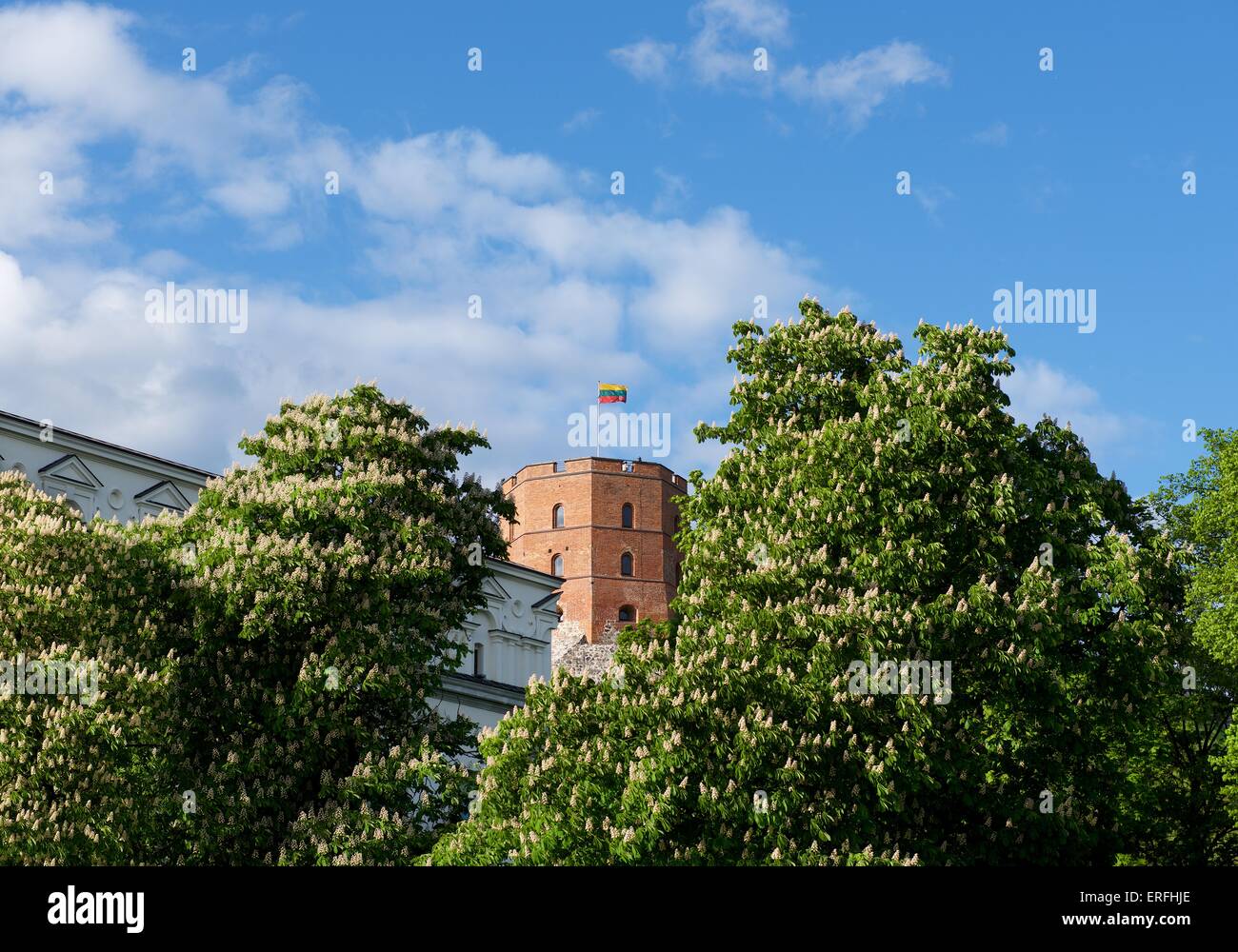 Schloss. Vilnius, Litauen. Blick auf die Stadt Vilnius. Vilnius, Turm der Gediminas-Symbol von Vilnius. Sommer. Kontrast Foto. Turm Stockfoto