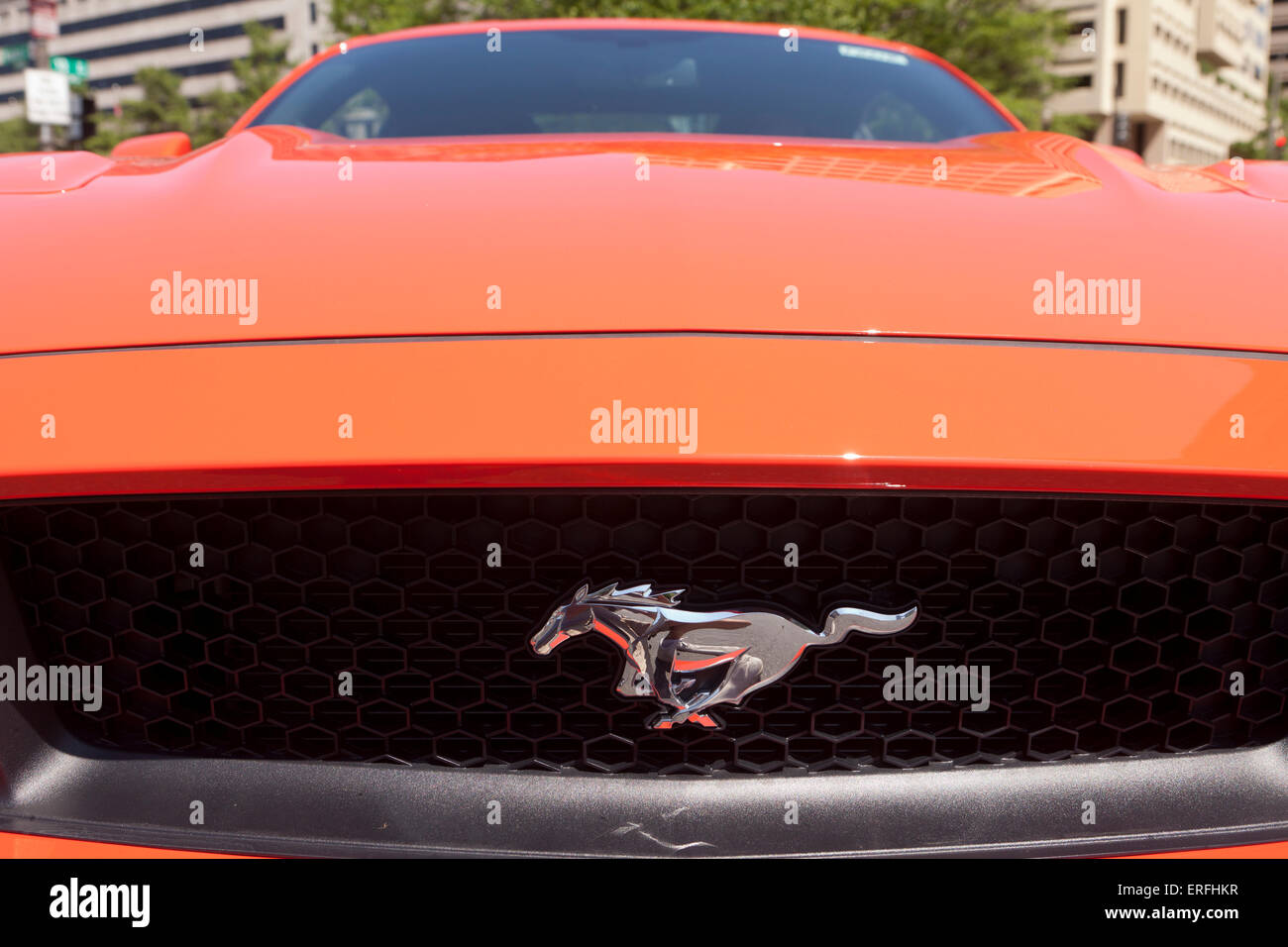 2015 Ford Mustang GT Kühlergrill und Logo - USA Stockfoto