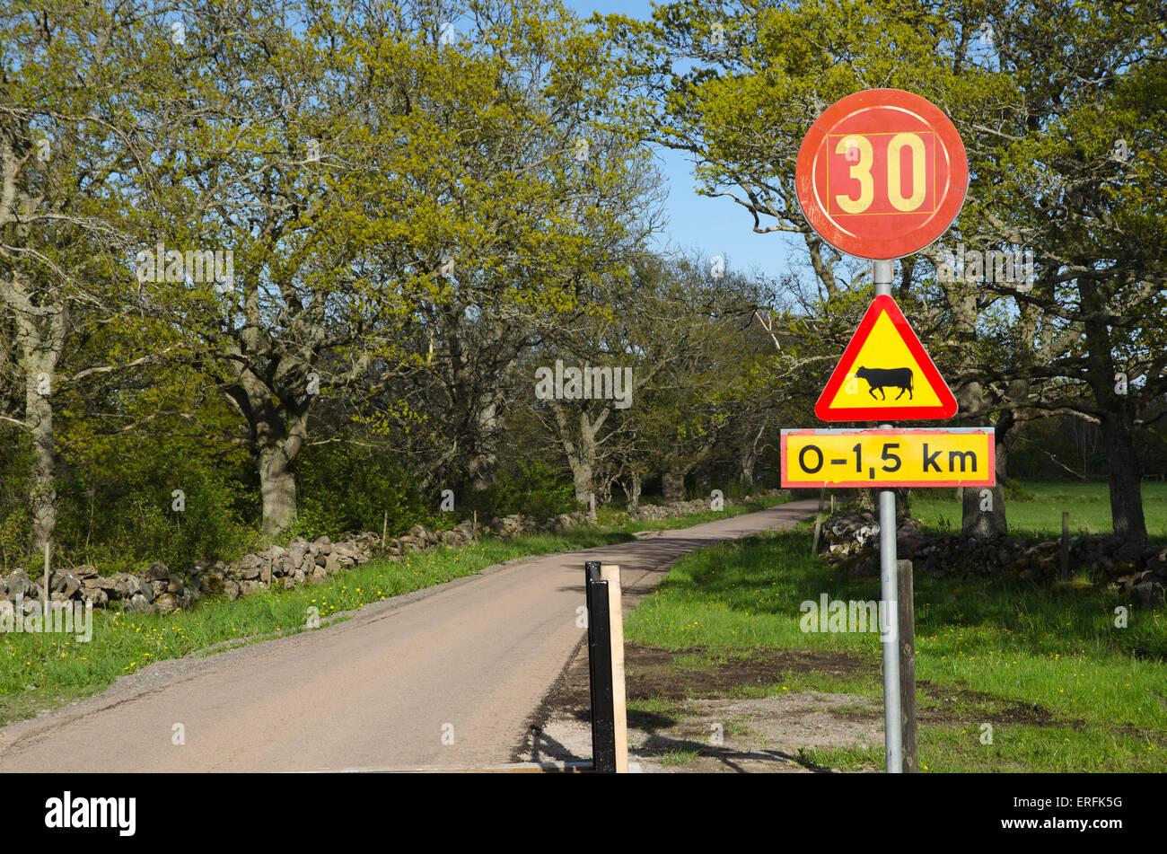 Landstraße mit Straße Zeichen in eine schwedische ländliche Landschaft im Frühling Stockfoto