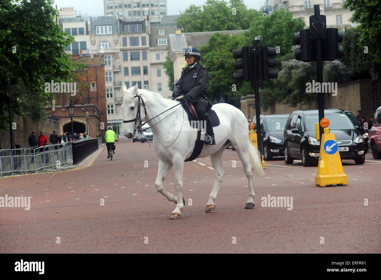 London, UK, 2. Juni 2015, Metropolitan Police montiert Niederlassung London in Aktion auf der Mall. Stockfoto