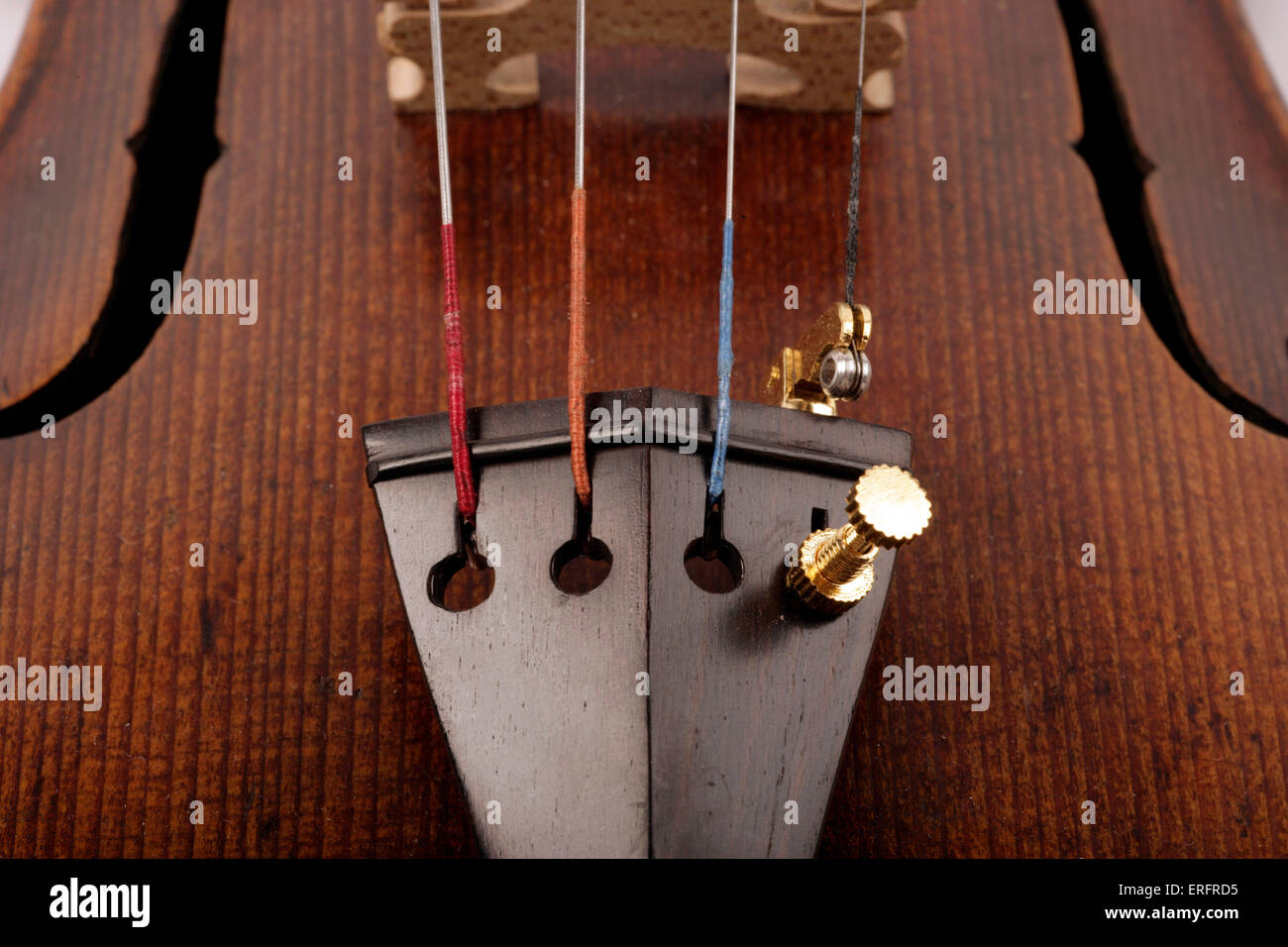 Geige Saiten und Saitenhalter - Kopie eines Instruments von Jacobus Stainer  gemacht. Nahaufnahme von Saiten und Saitenhalter Stockfotografie - Alamy