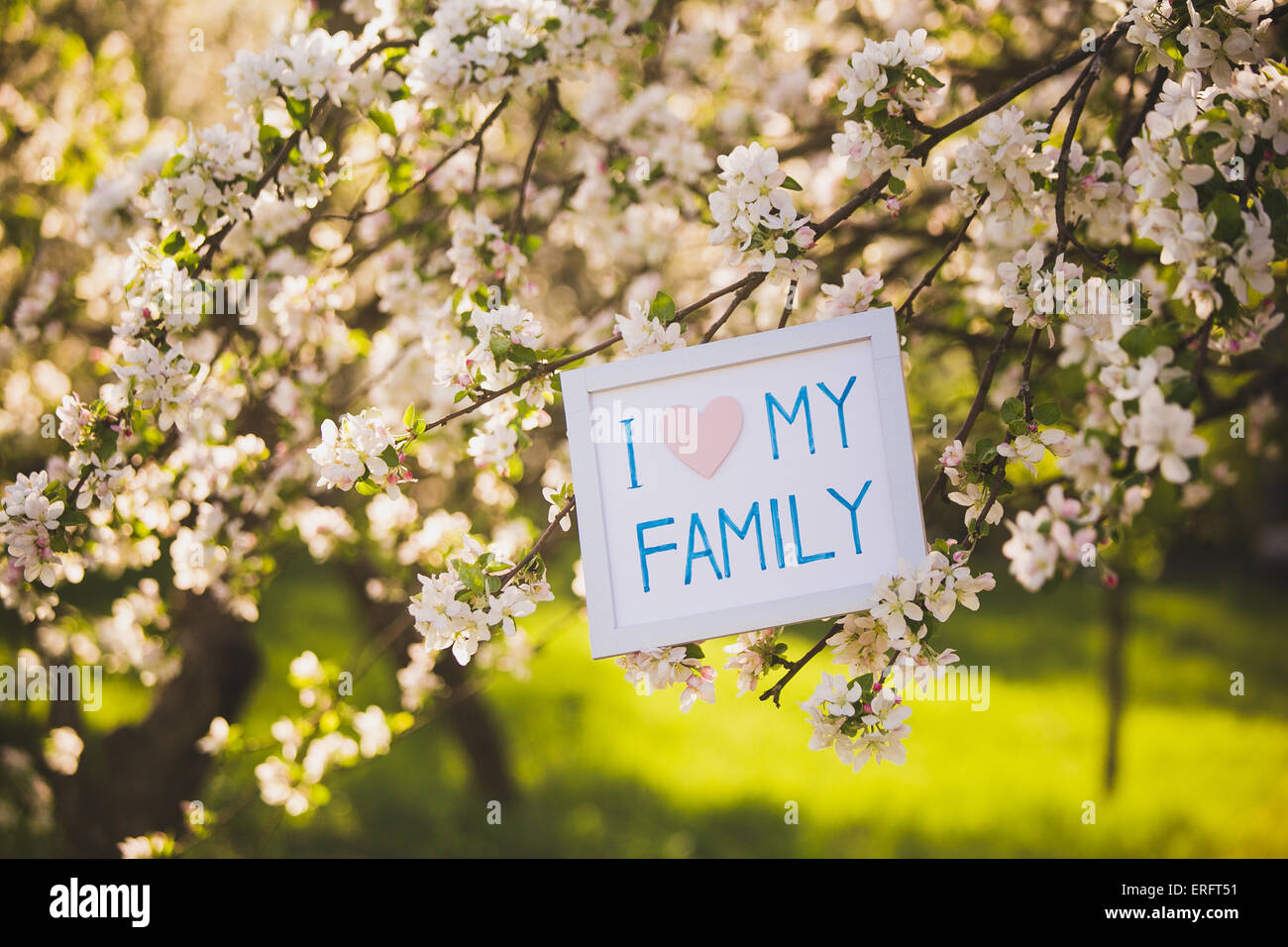 Ich liebe meine Familie. Bild in blühenden Frühling Garten. Apfelbäume in Blüten. Sonnigen Frühlingstag. Keine Menschen. Stockfoto