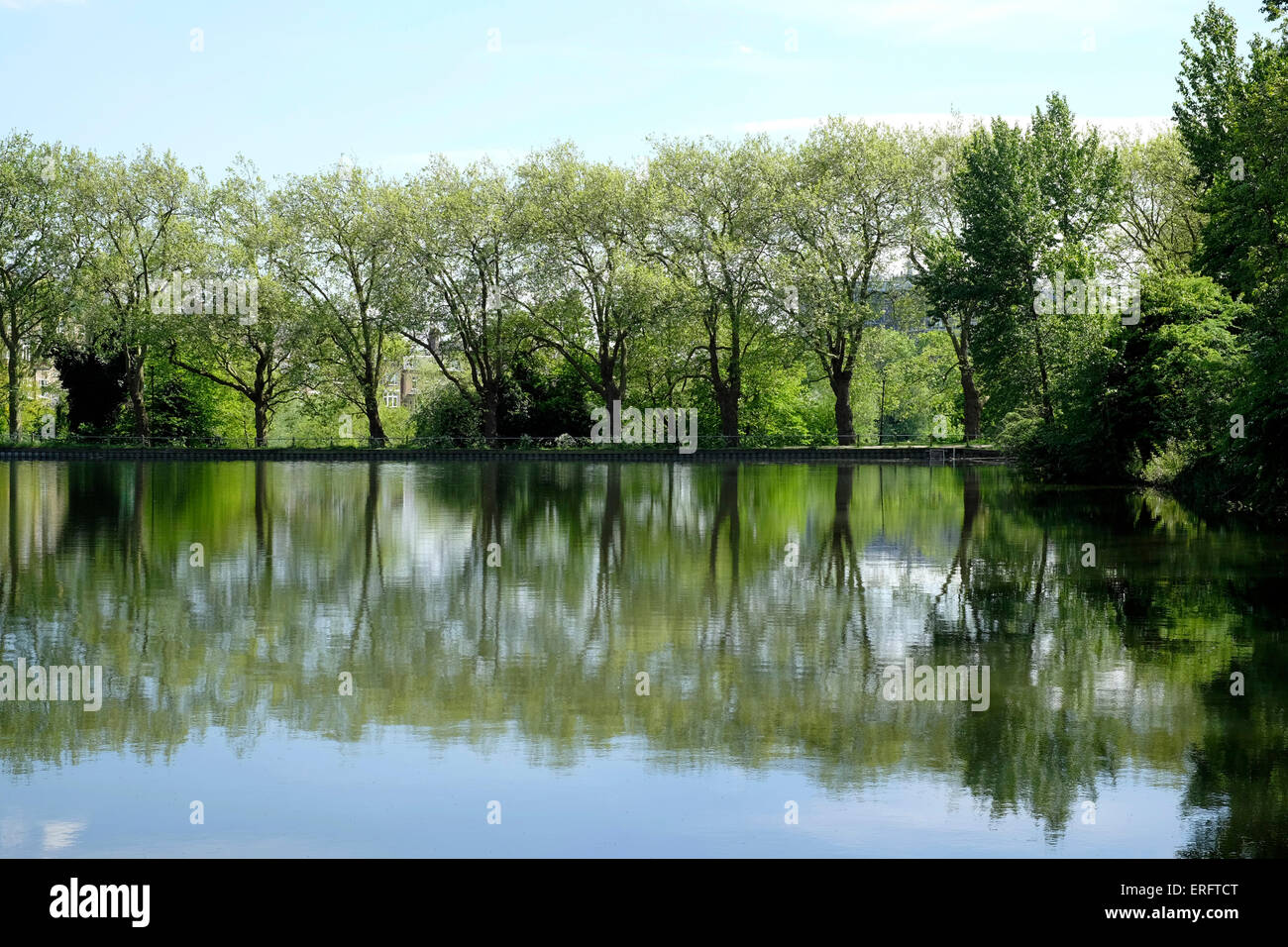 Reflexion von Bäumen in einem Teich, Hampstead Heath, London Stockfoto